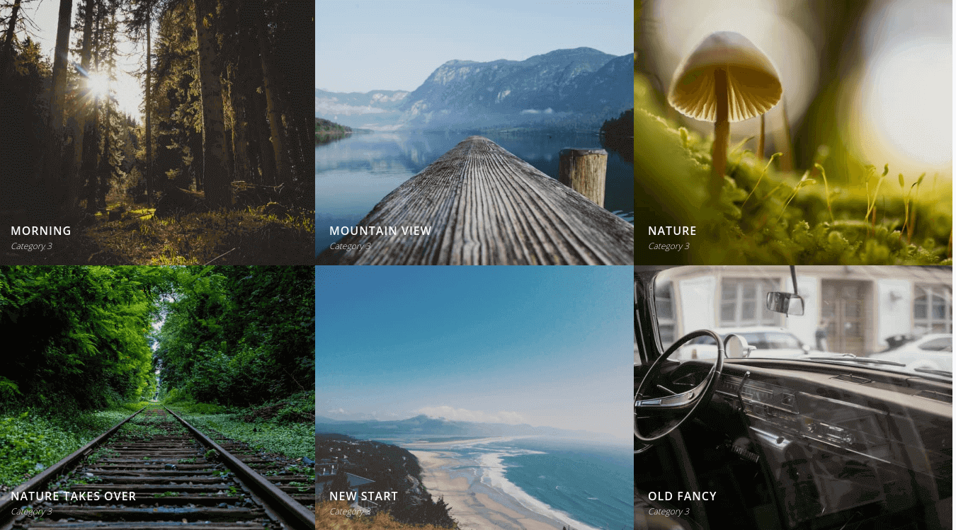 Auto Grid WordPress Plugin