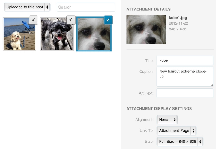 Image Info