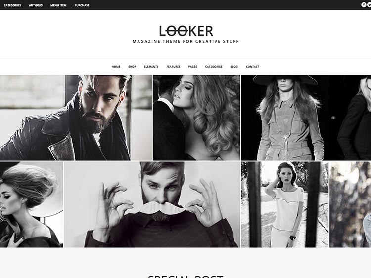 Looker - Magazine WordPress Theme For Creative Stuff