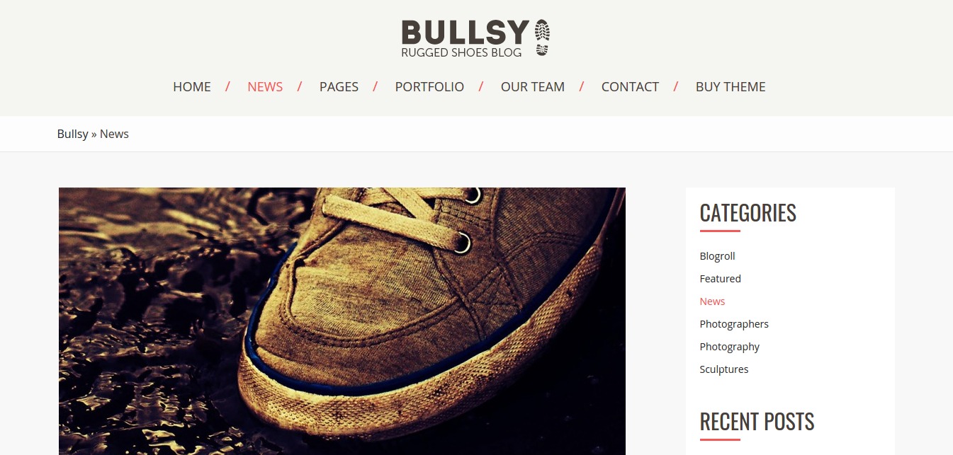 News Bullsy