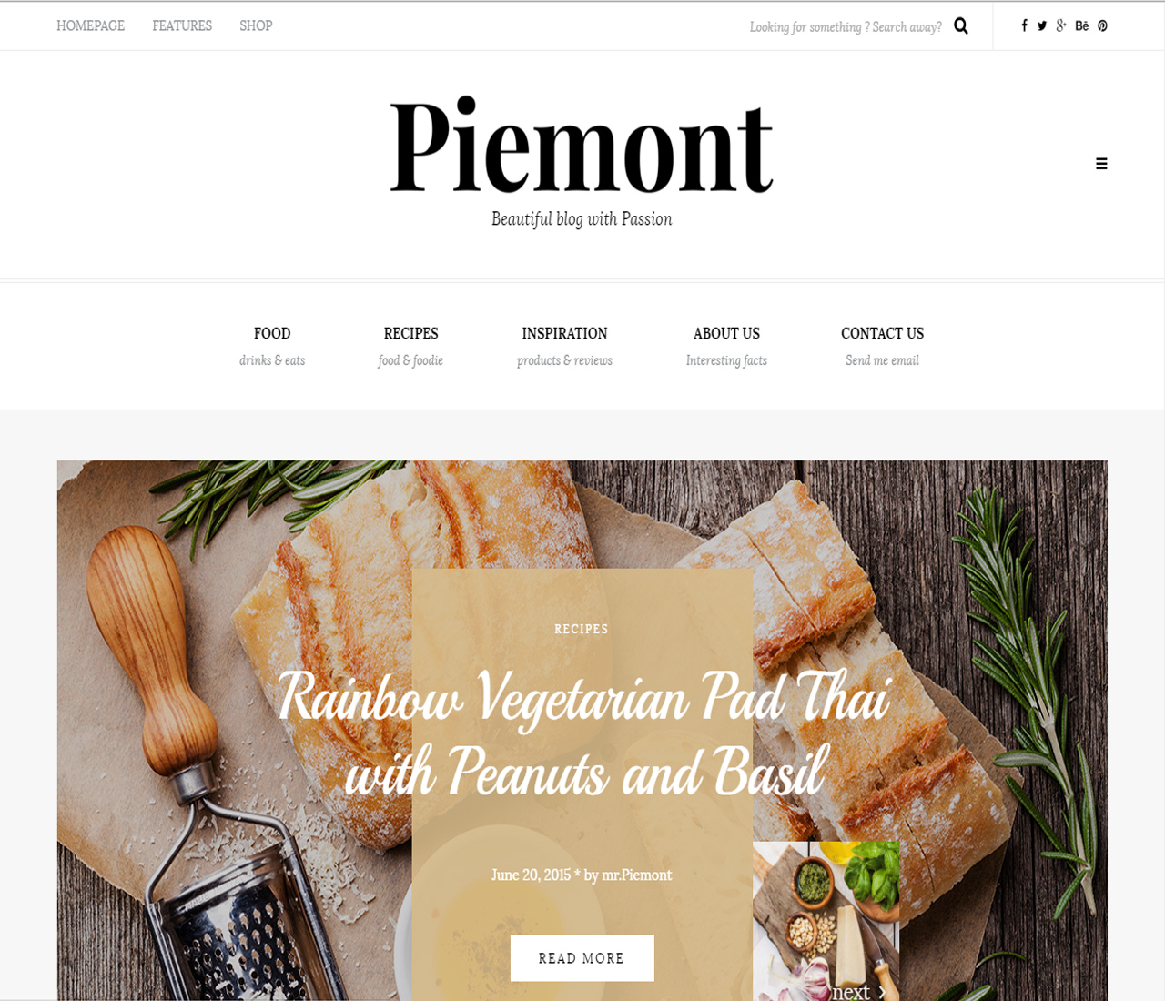 Piemont - Premium Responsive WordPress Blog Theme